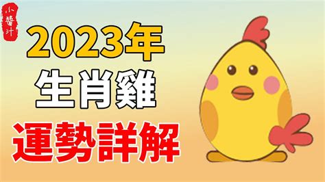 1957屬雞2023運勢|生肖雞: 性格，愛情，2024運勢，生肖1993，2005，2017